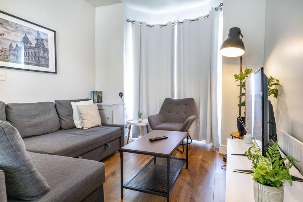 Cosy 2 Bedroom Town House Close To City Centre 贝尔法斯特 外观 照片