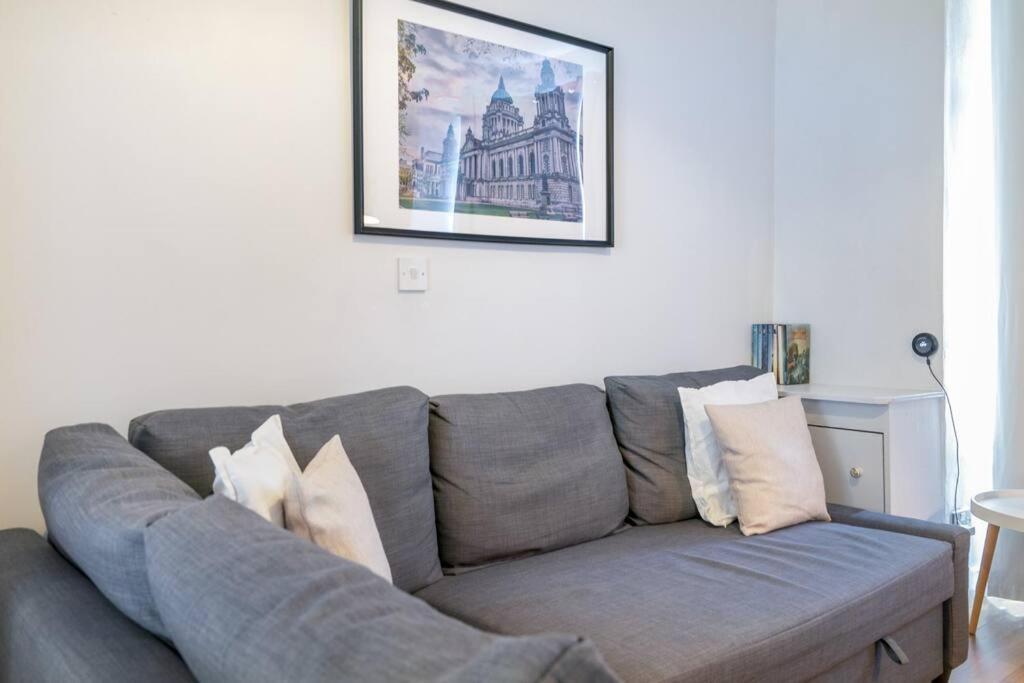 Cosy 2 Bedroom Town House Close To City Centre 贝尔法斯特 外观 照片