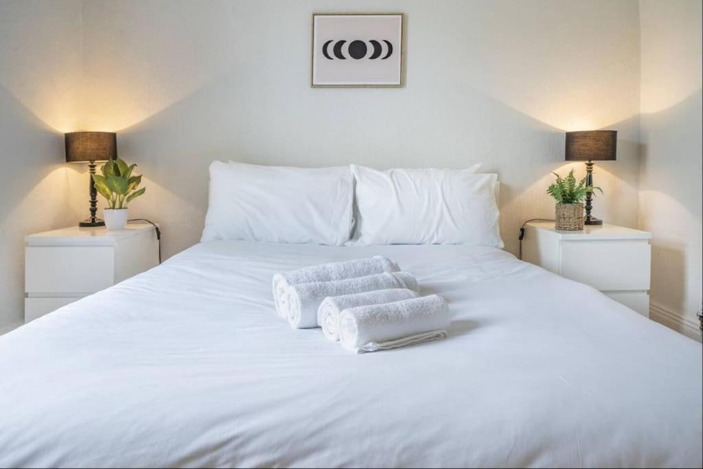 Cosy 2 Bedroom Town House Close To City Centre 贝尔法斯特 外观 照片