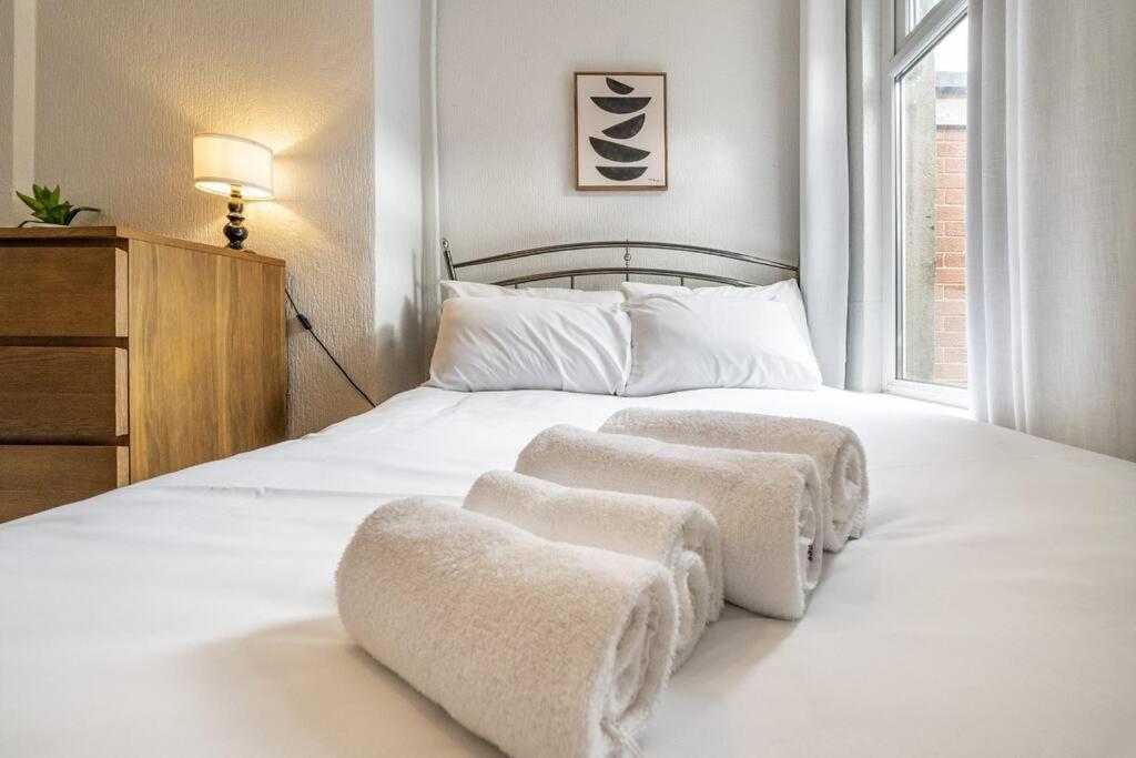 Cosy 2 Bedroom Town House Close To City Centre 贝尔法斯特 外观 照片