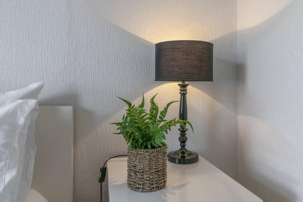 Cosy 2 Bedroom Town House Close To City Centre 贝尔法斯特 外观 照片
